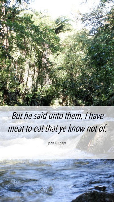 Picture 06 - John 4:32 KJV Mobile Phone Wallpaper - But he said unto them, I have meat to eat that ye - Mobile Bible Verse Wallpaper
