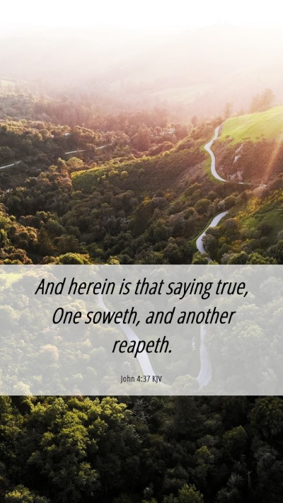 Picture 06 - John 4:37 KJV Mobile Phone Wallpaper - And herein is that saying true, One soweth, and - Mobile Bible Verse Wallpaper