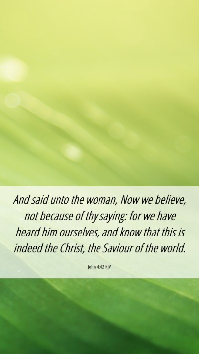 Picture 06 - John 4:42 KJV Mobile Phone Wallpaper - And said unto the woman, Now we believe, not - Mobile Bible Verse Wallpaper