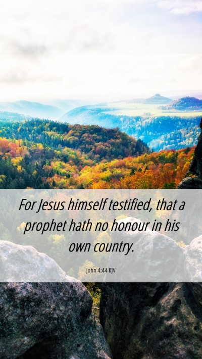 Picture 06 - John 4:44 KJV Mobile Phone Wallpaper - For Jesus himself testified, that a prophet hath - Mobile Bible Verse Wallpaper