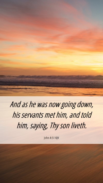 Picture 06 - John 4:51 KJV Mobile Phone Wallpaper - And as he was now going down, his servants met - Mobile Bible Verse Wallpaper