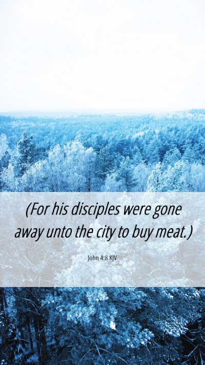 Picture 06 - John 4:8 KJV Mobile Phone Wallpaper - (For his disciples were gone away unto the city - Mobile Bible Verse Wallpaper