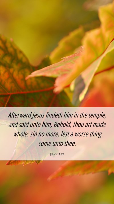 Picture 06 - John 5:14 KJV Mobile Phone Wallpaper - Afterward Jesus findeth him in the temple, and - Mobile Bible Verse Wallpaper