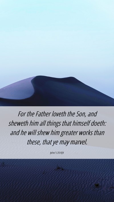 Picture 06 - John 5:20 KJV Mobile Phone Wallpaper - For the Father loveth the Son, and sheweth him - Mobile Bible Verse Wallpaper