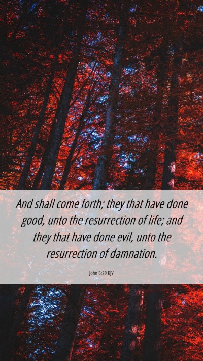 Picture 06 - John 5:29 KJV Mobile Phone Wallpaper - And shall come forth; they that have done good, - Mobile Bible Verse Wallpaper