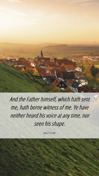 Picture 06 - John 5:37 KJV Mobile Phone Wallpaper - And the Father himself, which hath sent me, hath - Mobile Bible Verse Wallpaper