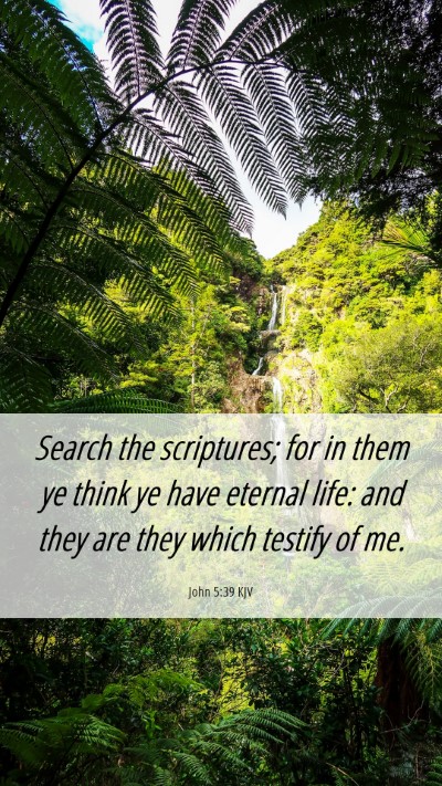 Picture 06 - John 5:39 KJV Mobile Phone Wallpaper - Search the scriptures; for in them ye think ye - Mobile Bible Verse Wallpaper