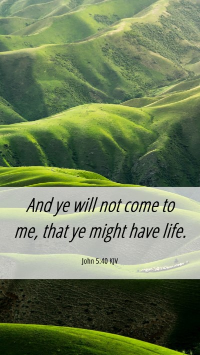 Picture 06 - John 5:40 KJV Mobile Phone Wallpaper - And ye will not come to me, that ye might have - Mobile Bible Verse Wallpaper