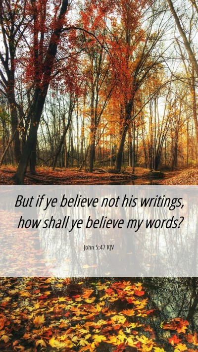 Picture 06 - John 5:47 KJV Mobile Phone Wallpaper - But if ye believe not his writings, how shall ye - Mobile Bible Verse Wallpaper