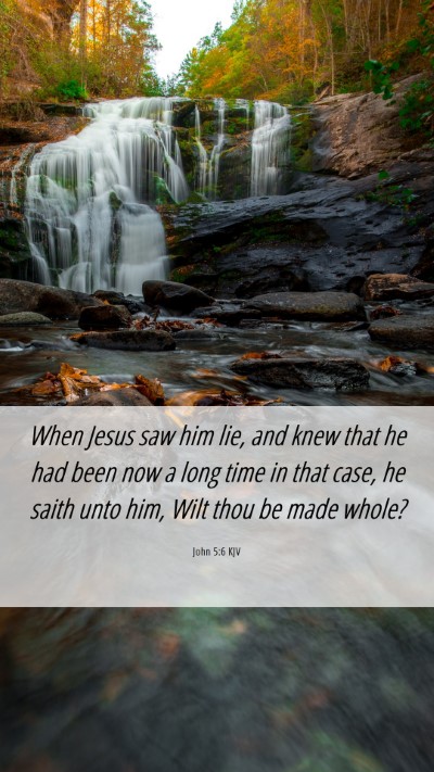 Picture 06 - John 5:6 KJV Mobile Phone Wallpaper - When Jesus saw him lie, and knew that he had been - Mobile Bible Verse Wallpaper
