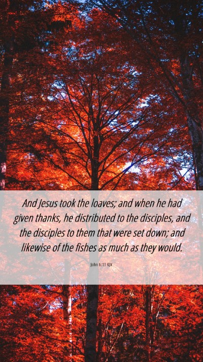 Picture 06 - John 6:11 KJV Mobile Phone Wallpaper - And Jesus took the loaves; and when he had given - Mobile Bible Verse Wallpaper