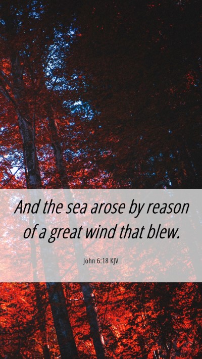 Picture 06 - John 6:18 KJV Mobile Phone Wallpaper - And the sea arose by reason of a great wind that - Mobile Bible Verse Wallpaper