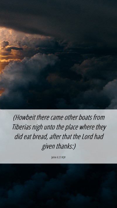 Picture 06 - John 6:23 KJV Mobile Phone Wallpaper - (Howbeit there came other boats from Tiberias - Mobile Bible Verse Wallpaper
