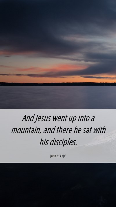 Picture 06 - John 6:3 KJV Mobile Phone Wallpaper - And Jesus went up into a mountain, and there he - Mobile Bible Verse Wallpaper