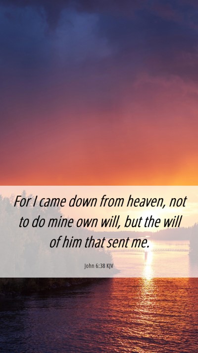 Picture 06 - John 6:38 KJV Mobile Phone Wallpaper - For I came down from heaven, not to do mine own - Mobile Bible Verse Wallpaper