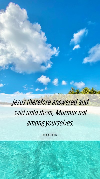 Picture 06 - John 6:43 KJV Mobile Phone Wallpaper - Jesus therefore answered and said unto them, - Mobile Bible Verse Wallpaper