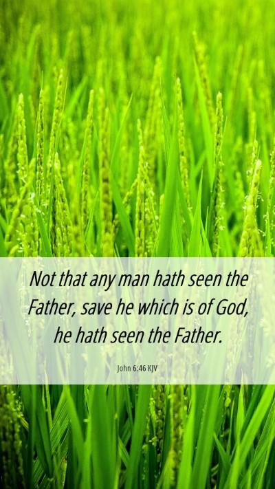 Picture 06 - John 6:46 KJV Mobile Phone Wallpaper - Not that any man hath seen the Father, save he - Mobile Bible Verse Wallpaper