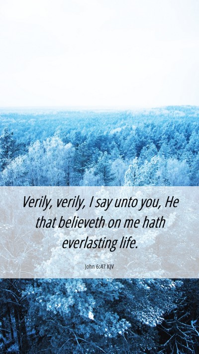 Picture 06 - John 6:47 KJV Mobile Phone Wallpaper - Verily, verily, I say unto you, He that believeth - Mobile Bible Verse Wallpaper