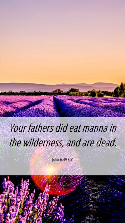 Picture 06 - John 6:49 KJV Mobile Phone Wallpaper - Your fathers did eat manna in the wilderness, and - Mobile Bible Verse Wallpaper