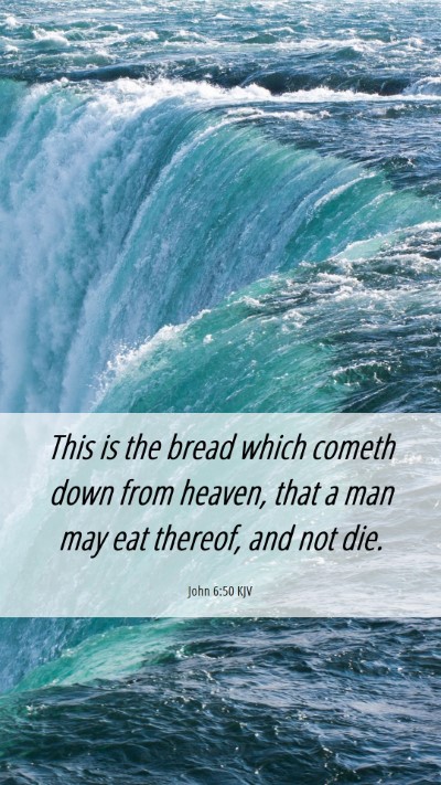 Picture 06 - John 6:50 KJV Mobile Phone Wallpaper - This is the bread which cometh down from heaven, - Mobile Bible Verse Wallpaper