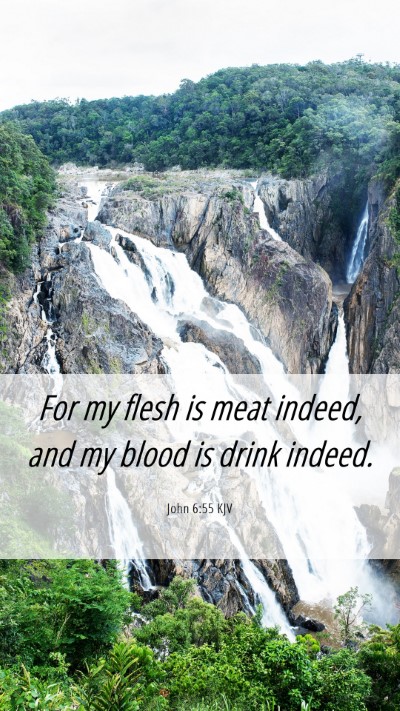 Picture 06 - John 6:55 KJV Mobile Phone Wallpaper - For my flesh is meat indeed, and my blood is - Mobile Bible Verse Wallpaper