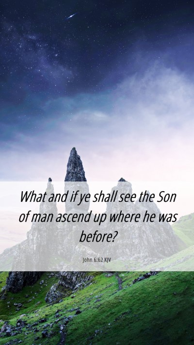 Picture 06 - John 6:62 KJV Mobile Phone Wallpaper - What and if ye shall see the Son of man ascend up - Mobile Bible Verse Wallpaper