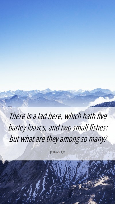 Picture 06 - John 6:9 KJV Mobile Phone Wallpaper - There is a lad here, which hath five barley - Mobile Bible Verse Wallpaper