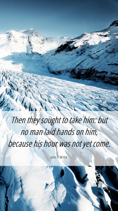Picture 06 - John 7:30 KJV Mobile Phone Wallpaper - Then they sought to take him: but no man laid - Mobile Bible Verse Wallpaper