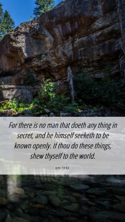 Picture 06 - John 7:4 KJV Mobile Phone Wallpaper - For there is no man that doeth any thing in - Mobile Bible Verse Wallpaper