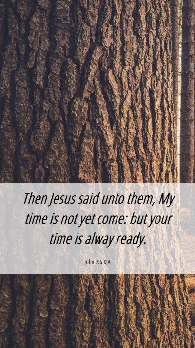 Picture 06 - John 7:6 KJV Mobile Phone Wallpaper - Then Jesus said unto them, My time is not yet - Mobile Bible Verse Wallpaper