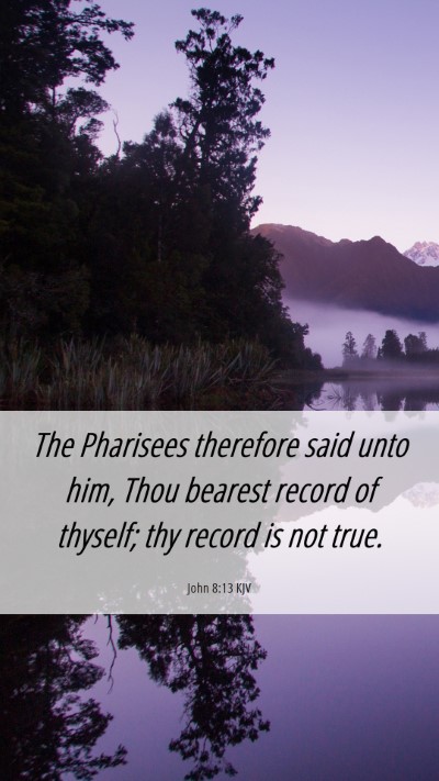 Picture 06 - John 8:13 KJV Mobile Phone Wallpaper - The Pharisees therefore said unto him, Thou - Mobile Bible Verse Wallpaper