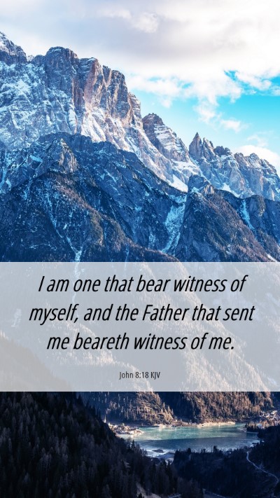 Picture 06 - John 8:18 KJV Mobile Phone Wallpaper - I am one that bear witness of myself, and the - Mobile Bible Verse Wallpaper