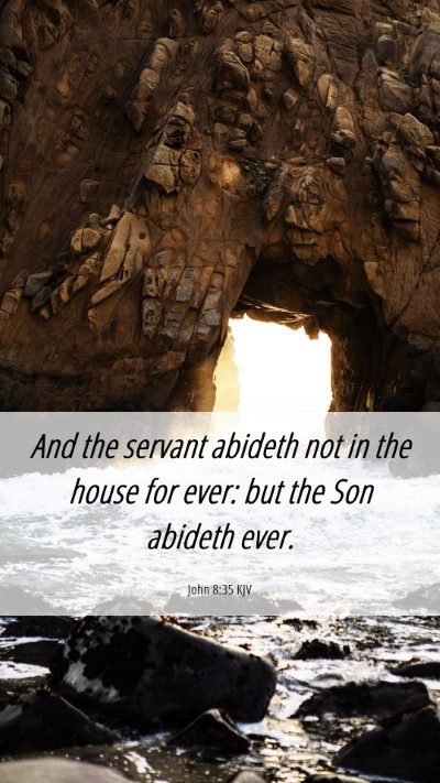 Picture 06 - John 8:35 KJV Mobile Phone Wallpaper - And the servant abideth not in the house for - Mobile Bible Verse Wallpaper