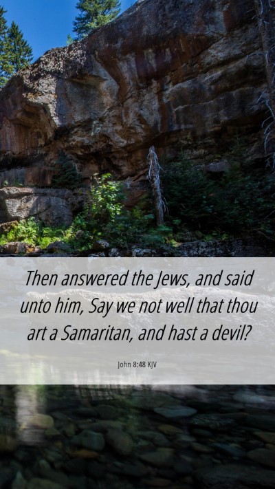 Picture 06 - John 8:48 KJV Mobile Phone Wallpaper - Then answered the Jews, and said unto him, Say we - Mobile Bible Verse Wallpaper
