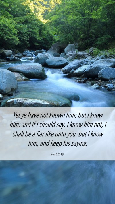 Picture 06 - John 8:55 KJV Mobile Phone Wallpaper - Yet ye have not known him; but I know him: and if - Mobile Bible Verse Wallpaper