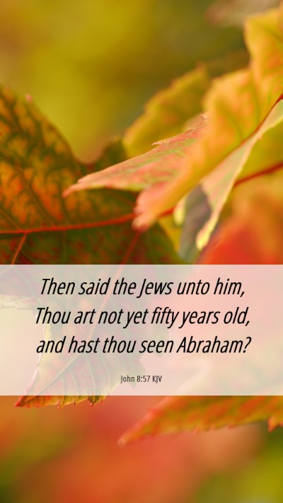 Picture 06 - John 8:57 KJV Mobile Phone Wallpaper - Then said the Jews unto him, Thou art not yet - Mobile Bible Verse Wallpaper