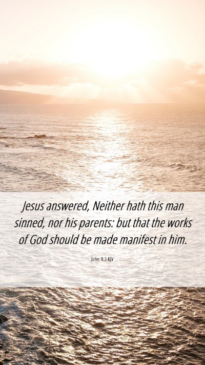 Picture 06 - John 9:3 KJV Mobile Phone Wallpaper - Jesus answered, Neither hath this man sinned, nor - Mobile Bible Verse Wallpaper