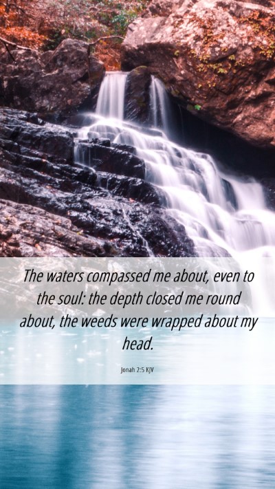 Picture 06 - Jonah 2:5 KJV Mobile Phone Wallpaper - The waters compassed me about, even to the soul: - Mobile Bible Verse Wallpaper