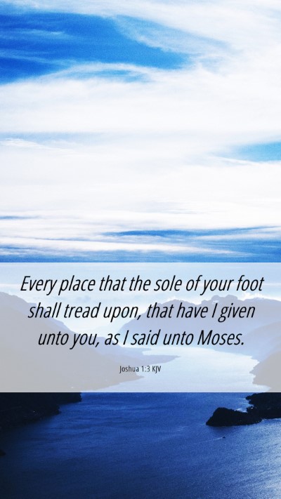Picture 06 - Joshua 1:3 KJV Mobile Phone Wallpaper - Every place that the sole of your foot shall - Mobile Bible Verse Wallpaper