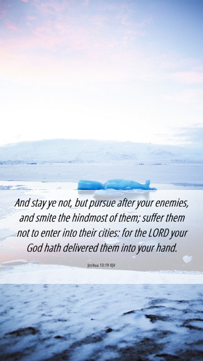 Picture 06 - Joshua 10:19 KJV Mobile Phone Wallpaper - And stay ye not, but pursue after your enemies, - Mobile Bible Verse Wallpaper