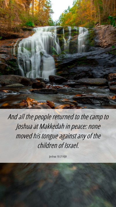 Picture 06 - Joshua 10:21 KJV Mobile Phone Wallpaper - And all the people returned to the camp to Joshua - Mobile Bible Verse Wallpaper