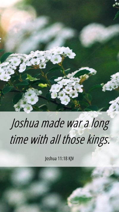 Picture 06 - Joshua 11:18 KJV Mobile Phone Wallpaper - Joshua made war a long time with all those - Mobile Bible Verse Wallpaper