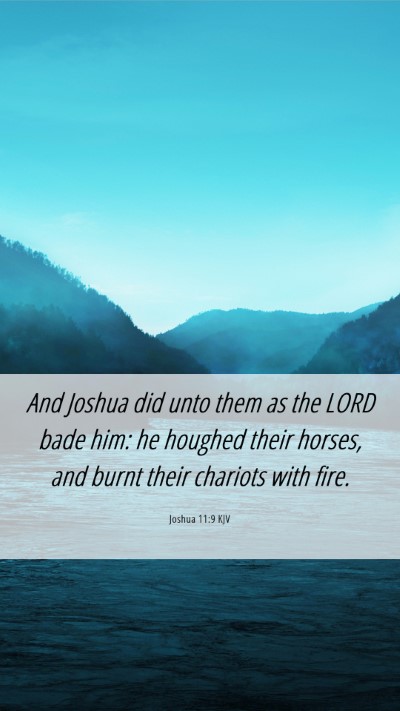 Picture 06 - Joshua 11:9 KJV Mobile Phone Wallpaper - And Joshua did unto them as the LORD bade him: he - Mobile Bible Verse Wallpaper
