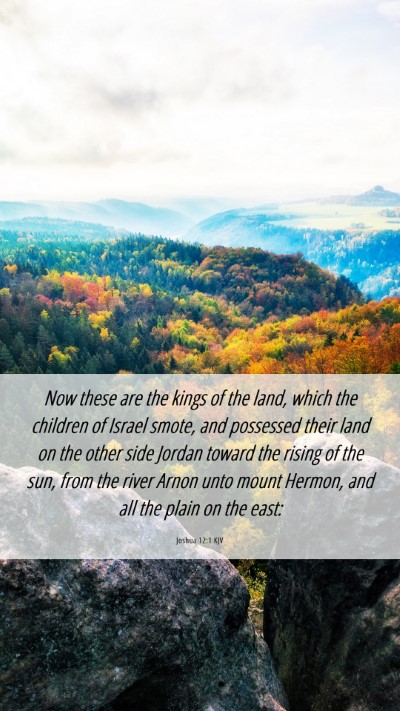 Picture 06 - Joshua 12:1 KJV Mobile Phone Wallpaper - Now these are the kings of the land, which the - Mobile Bible Verse Wallpaper