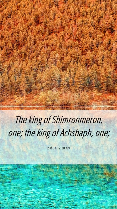 Picture 06 - Joshua 12:20 KJV Mobile Phone Wallpaper - The king of Shimronmeron, one; the king of - Mobile Bible Verse Wallpaper
