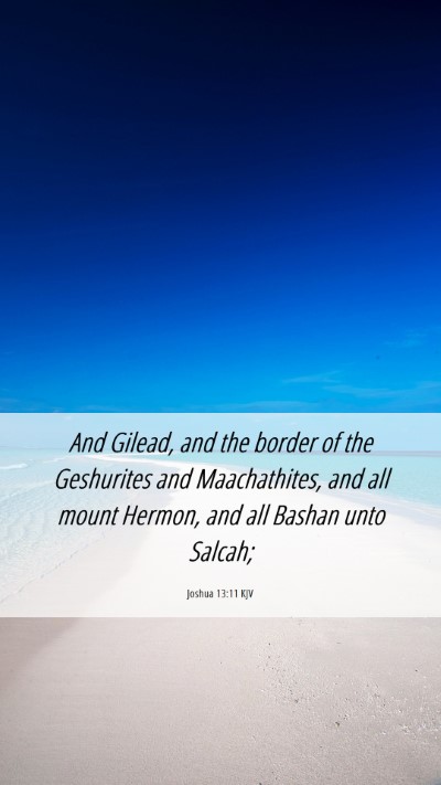 Picture 06 - Joshua 13:11 KJV Mobile Phone Wallpaper - And Gilead, and the border of the Geshurites and - Mobile Bible Verse Wallpaper