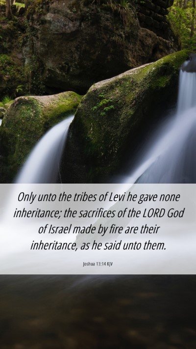 Picture 06 - Joshua 13:14 KJV Mobile Phone Wallpaper - Only unto the tribes of Levi he gave none - Mobile Bible Verse Wallpaper