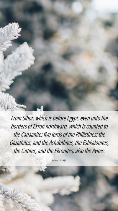 Picture 06 - Joshua 13:3 KJV Mobile Phone Wallpaper - From Sihor, which is before Egypt, even unto the - Mobile Bible Verse Wallpaper