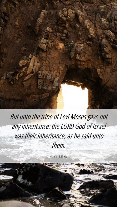 Picture 06 - Joshua 13:33 KJV Mobile Phone Wallpaper - But unto the tribe of Levi Moses gave not any - Mobile Bible Verse Wallpaper