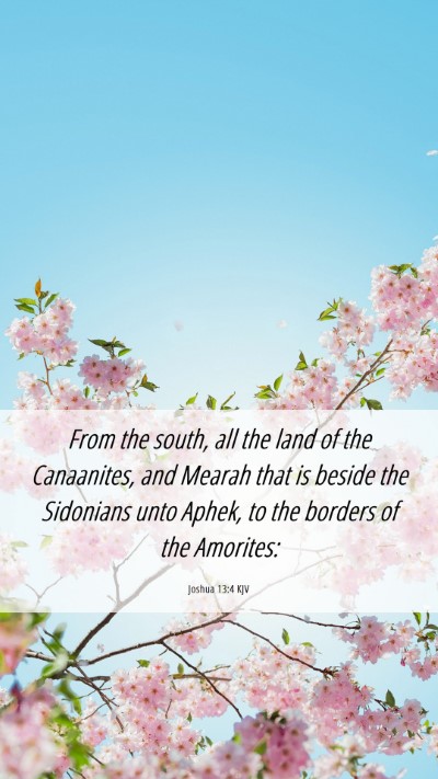 Picture 06 - Joshua 13:4 KJV Mobile Phone Wallpaper - From the south, all the land of the Canaanites, - Mobile Bible Verse Wallpaper